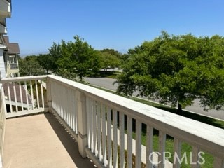 628 Silk Tree