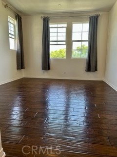 628 Silk Tree