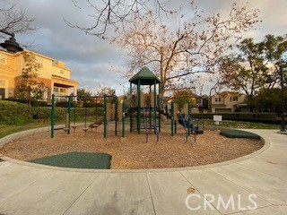 628 Silk Tree