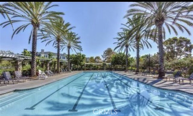 628 Silk Tree