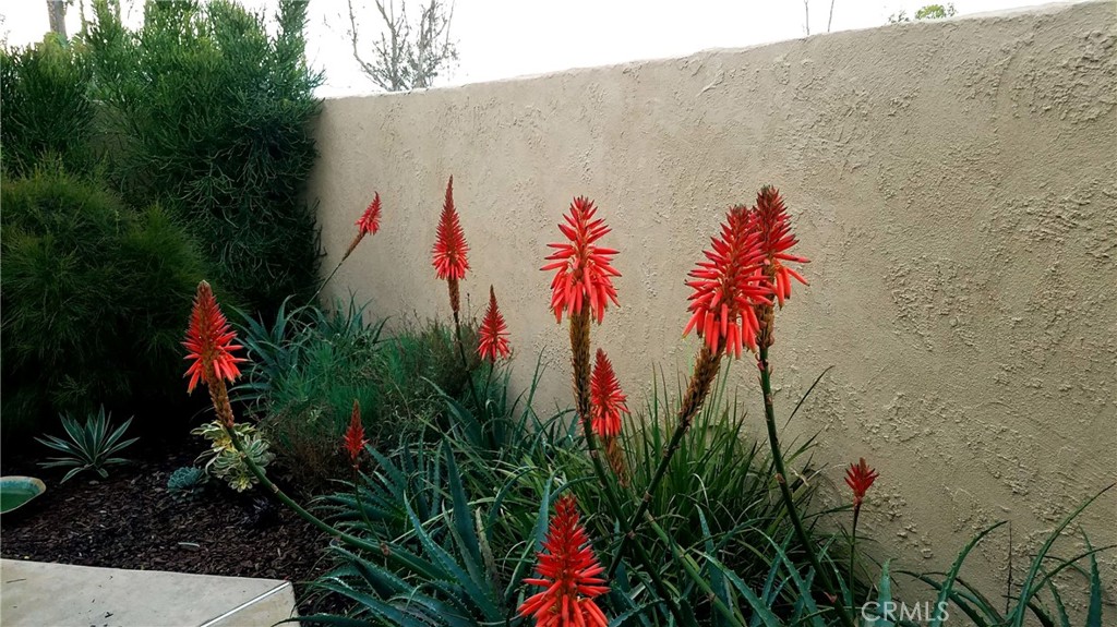 24622 Mendocino Court