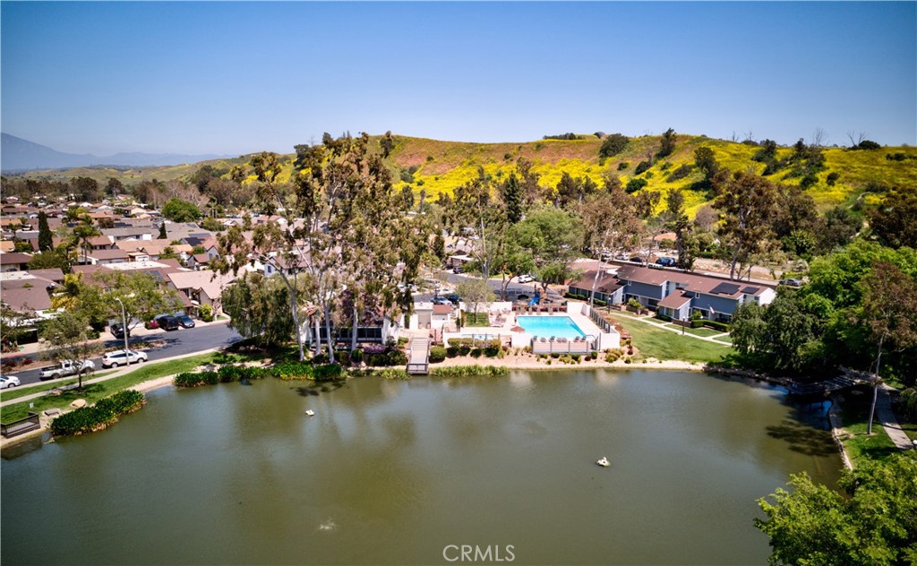 29665 Woodlake Court