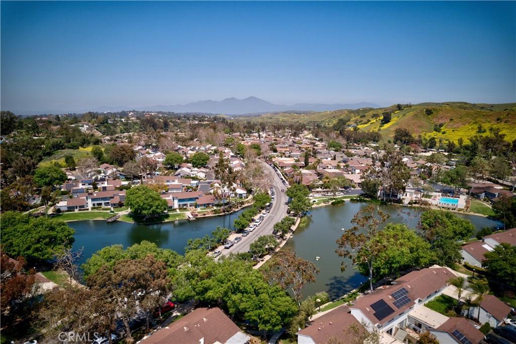 29665 Woodlake Court