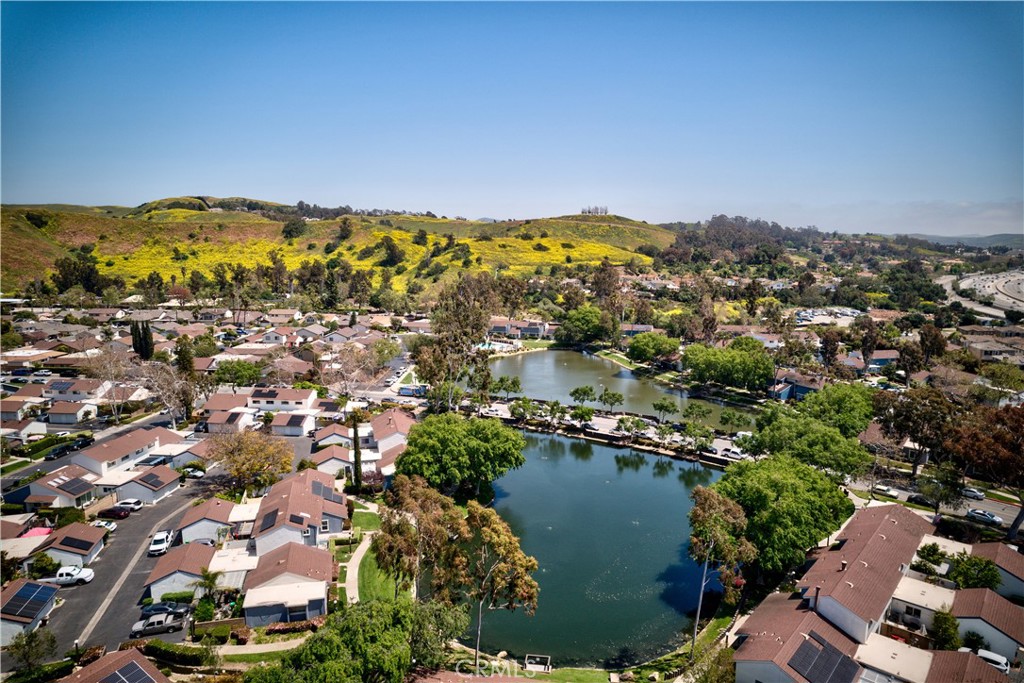 29665 Woodlake Court