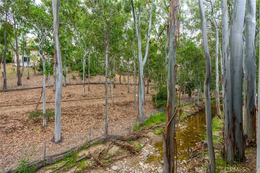 22321 Vista Verde Drive