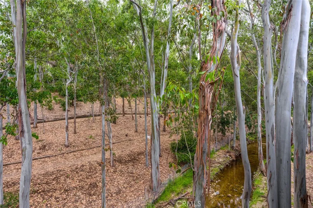 22321 Vista Verde Drive