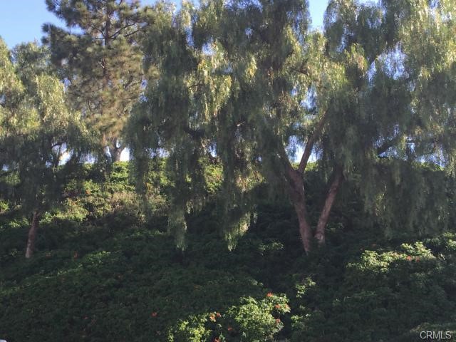 71 Grenada Street 167