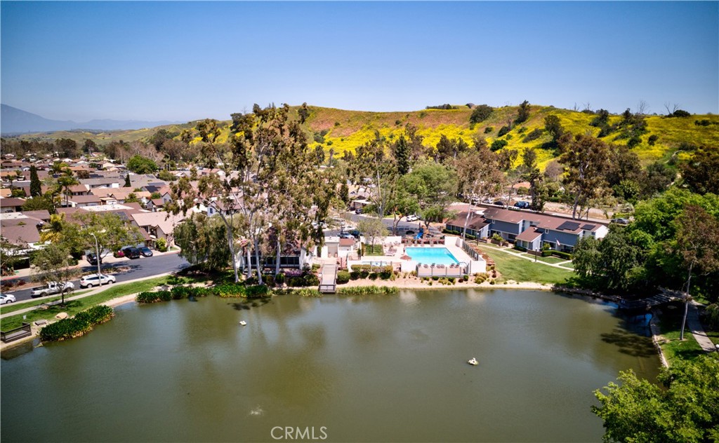 29572 Brook Court