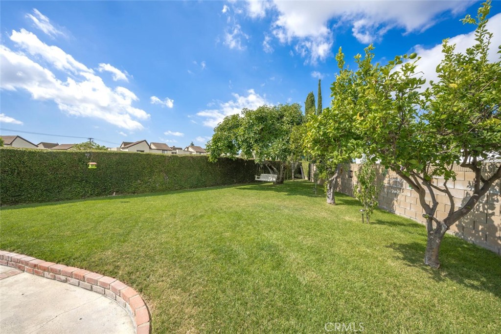 8441 Meadowlark Lane