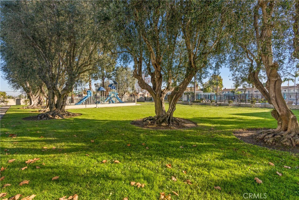 9908 Continental Drive