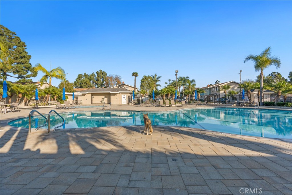 9908 Continental Drive