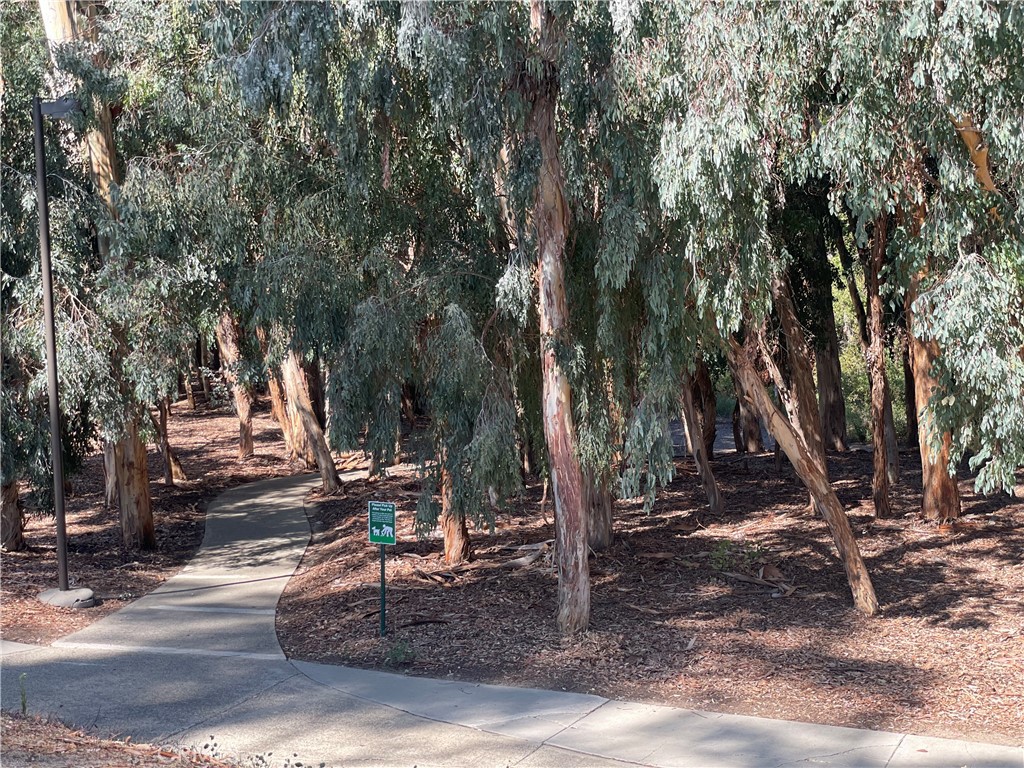 21739 Lake Vista Drive