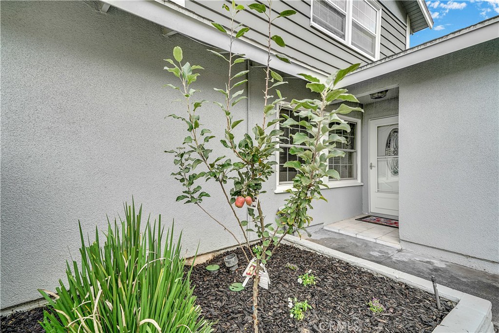 16311 Myrtlewood Street