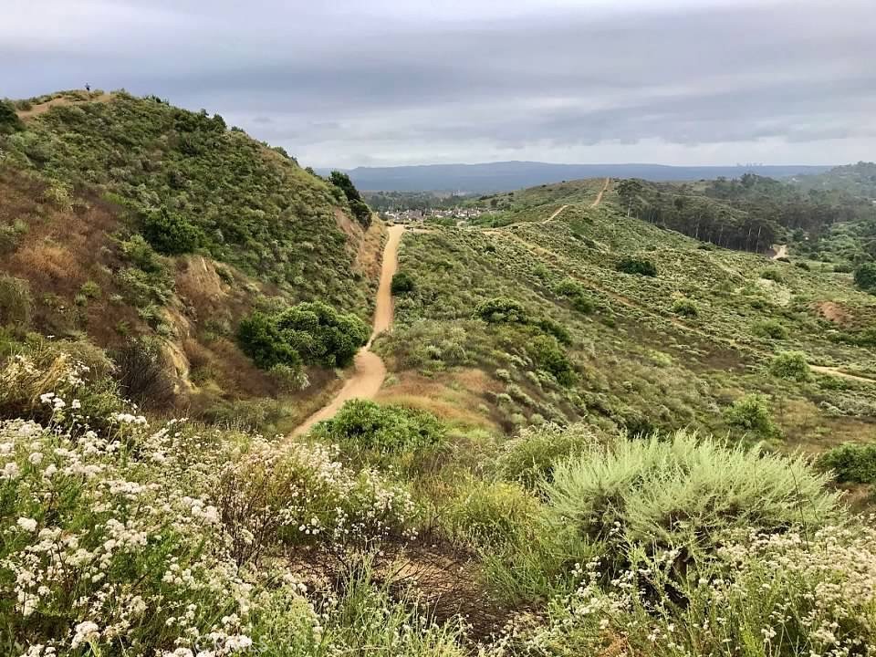 12421 CARDINAL Drive