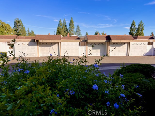 23235 Caminito Andreta 48