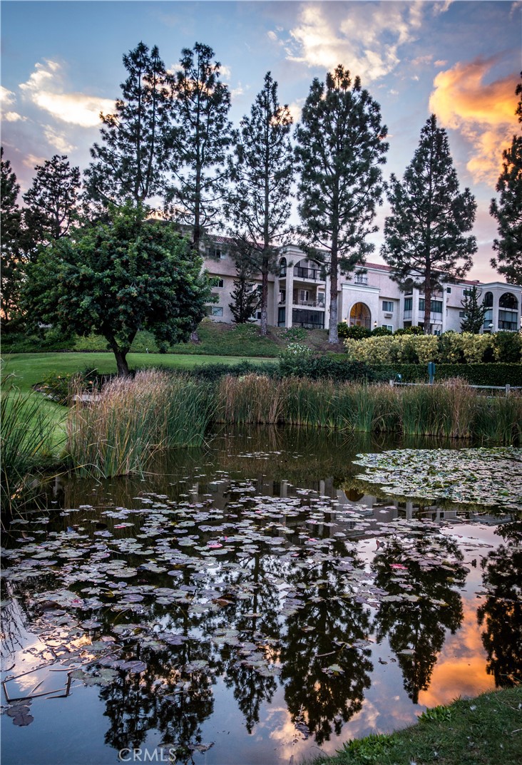 2329 Via Mariposa W A