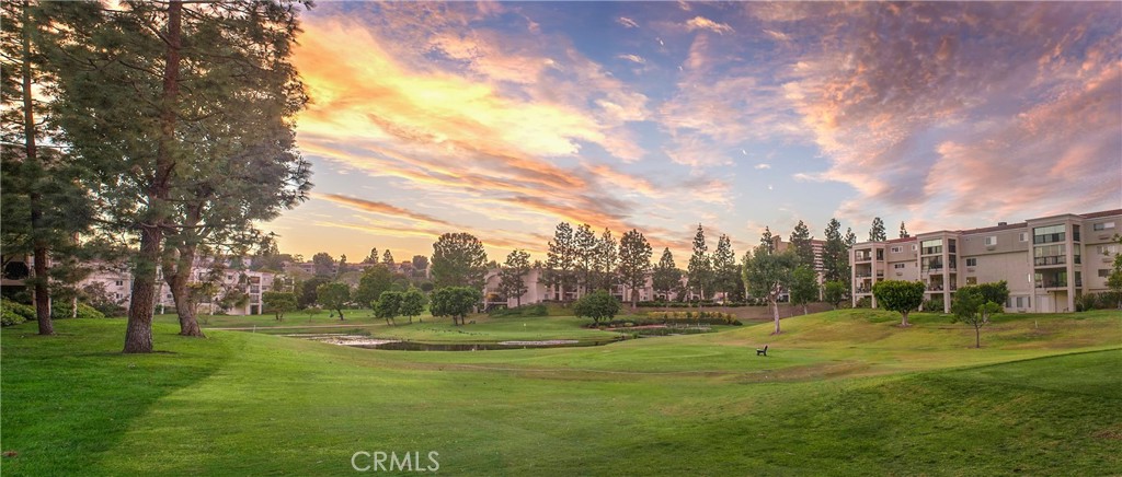 2329 Via Mariposa W A