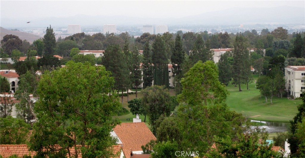 2329 Via Mariposa W A