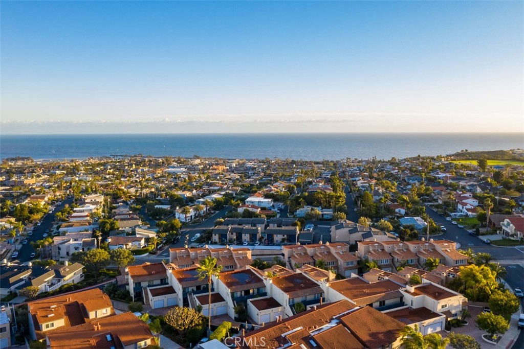 33692 Blue Lantern 8