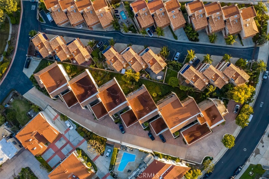 33692 Blue Lantern 8