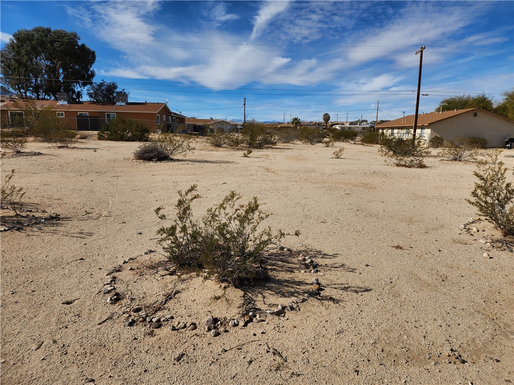 0 Smoke Tree