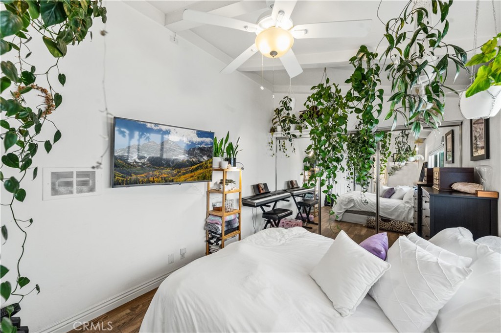 33921 Copper Lantern Street