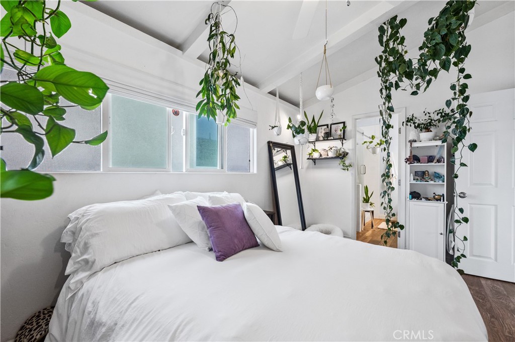 33921 Copper Lantern Street