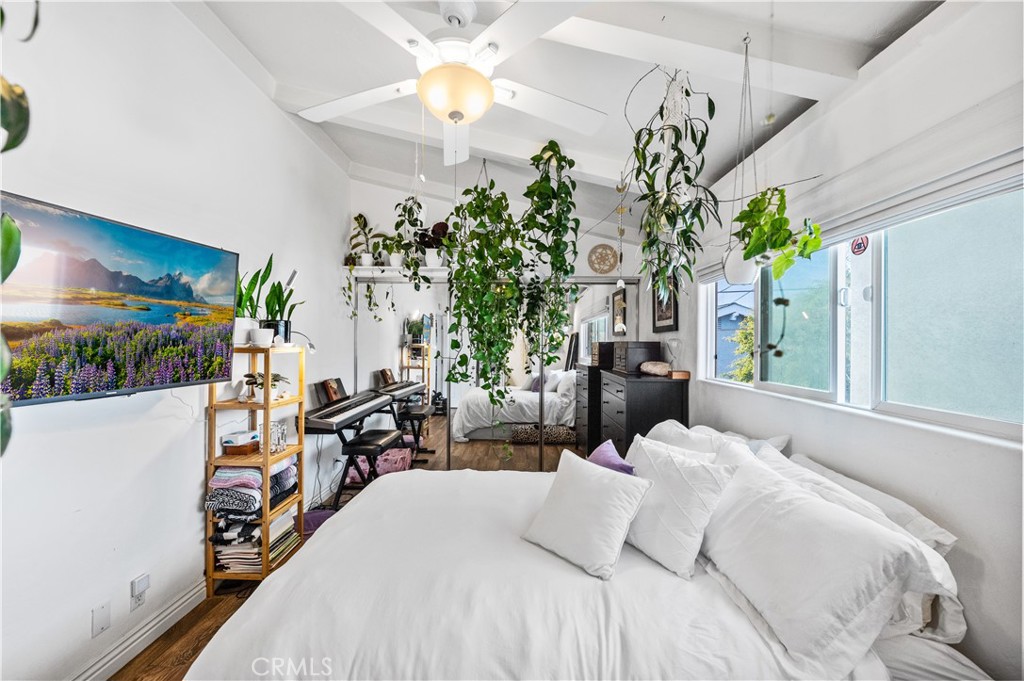 33921 Copper Lantern Street