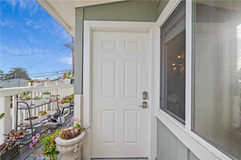 33921 Copper Lantern Street