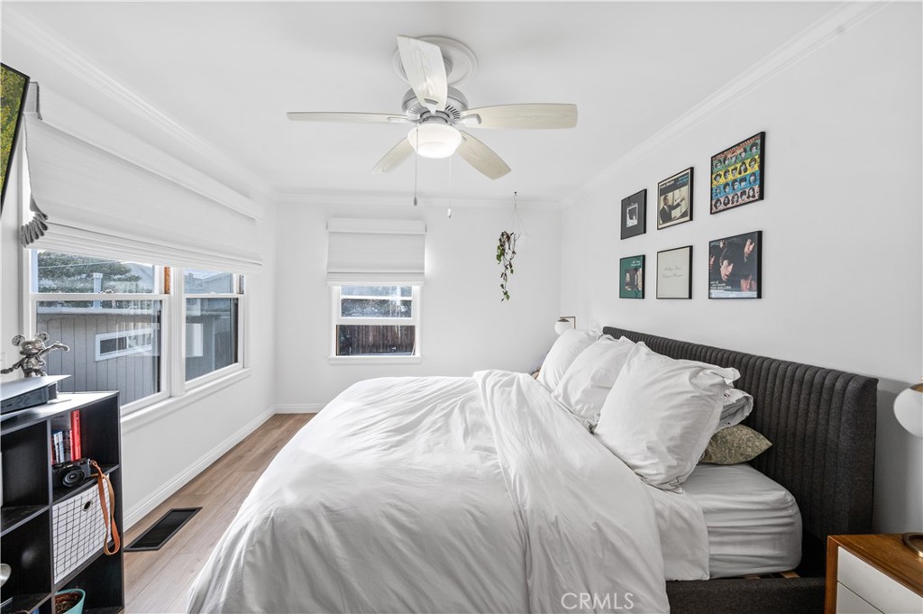 33921 Copper Lantern Street