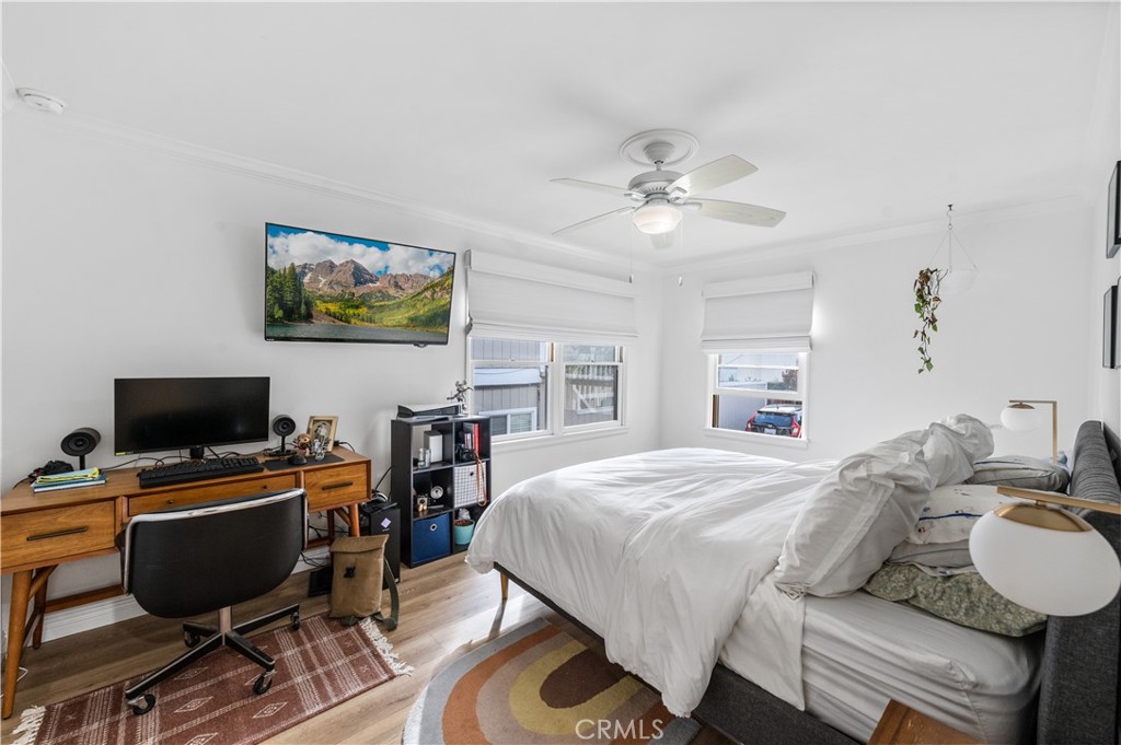 33921 Copper Lantern Street