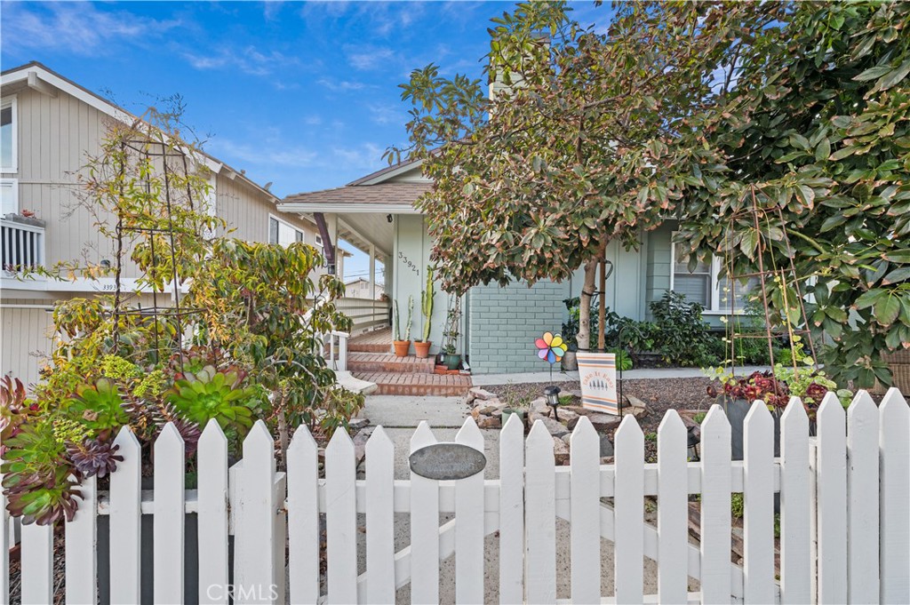 33921 Copper Lantern Street