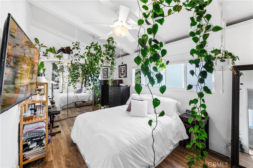 33921 Copper Lantern Street