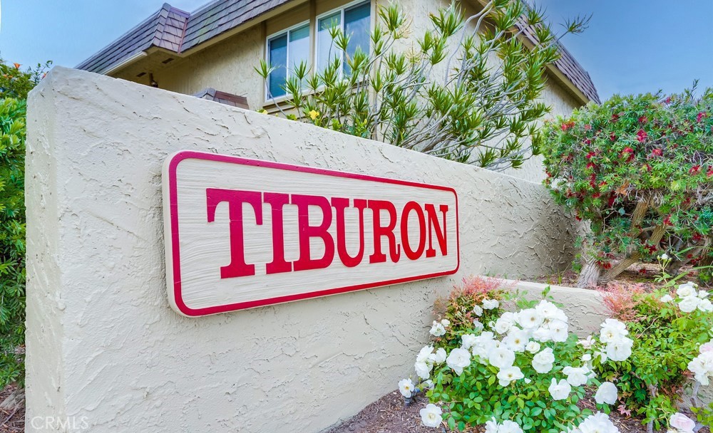 10216 Black River Court