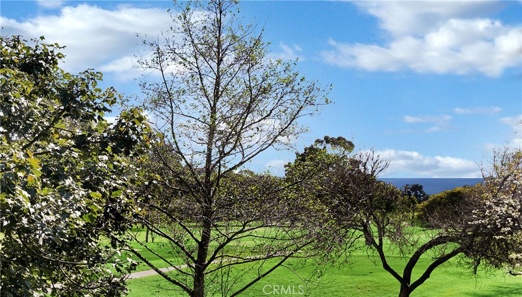 31646 W Nine Drive B115