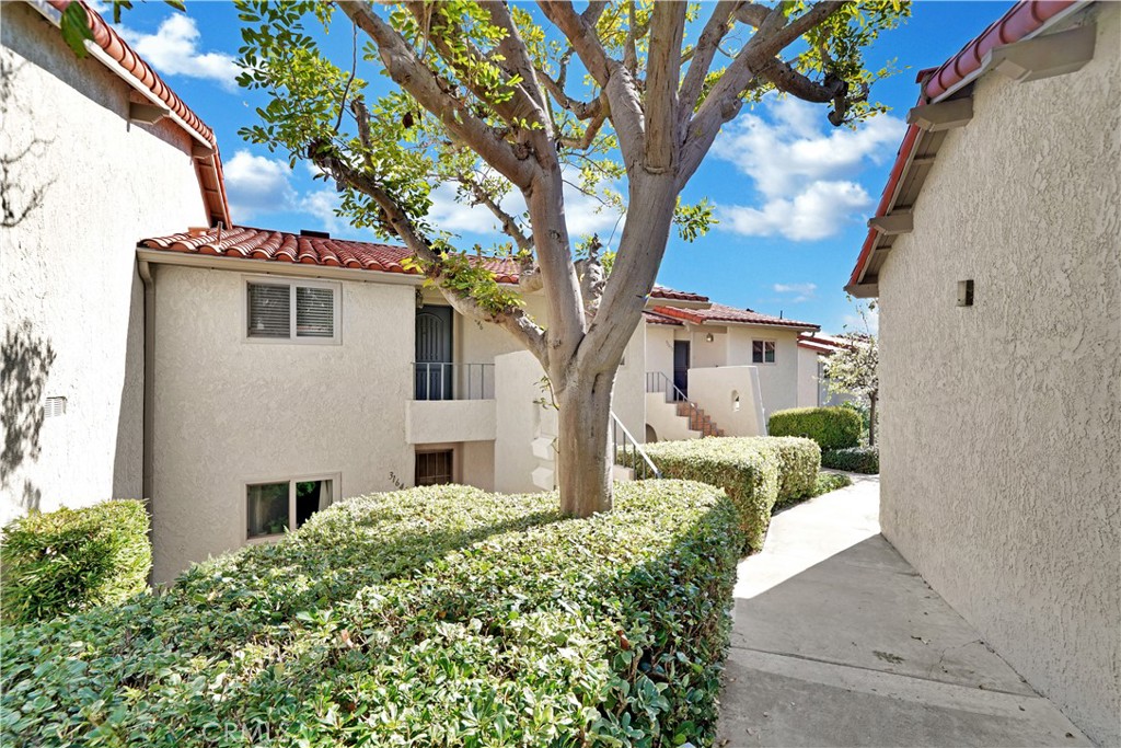 31646 W Nine Drive B115