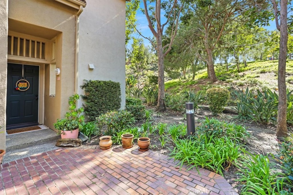 10 Daytona Drive 124