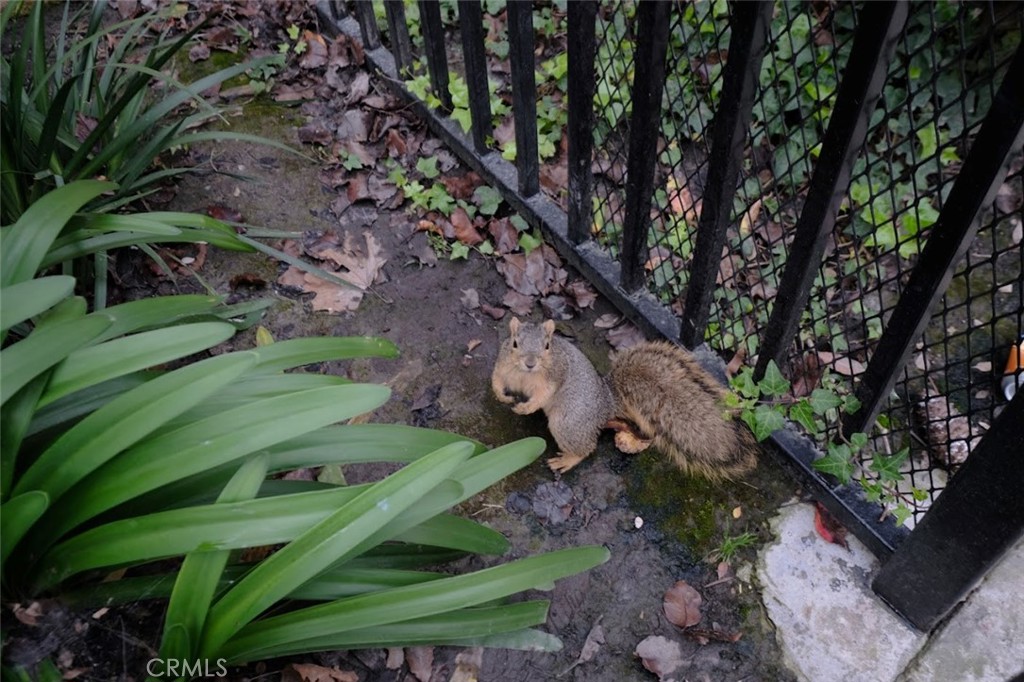 7881 Woodlake Drive 67