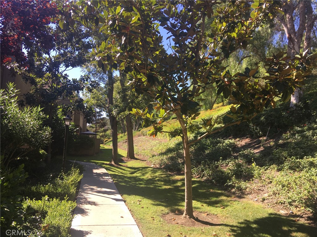 23624 Wakefield Court 70