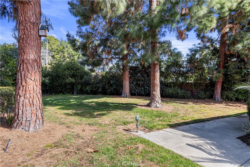 154 Avenida Majorca C