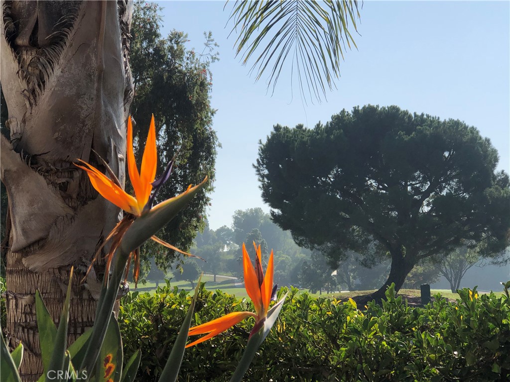 154 Avenida Majorca C