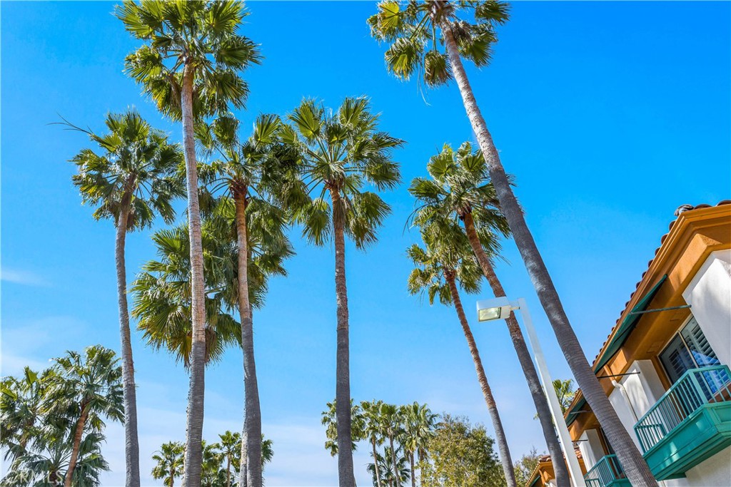 40 Villa Point Drive