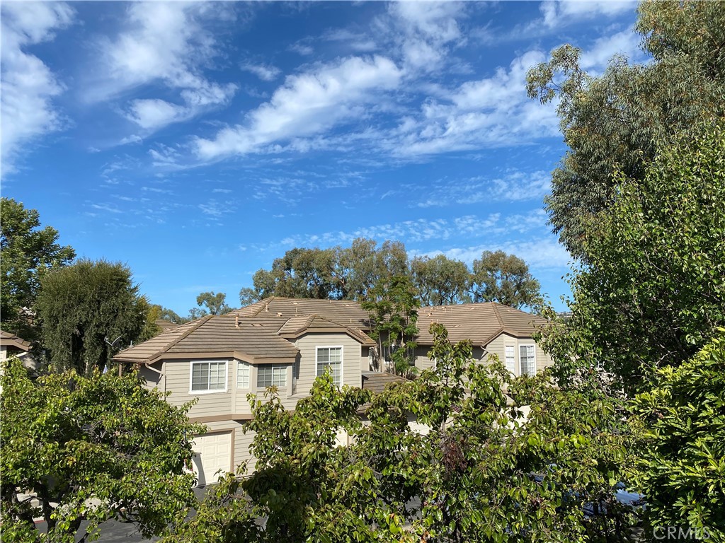 24392 Larchmont Court 62