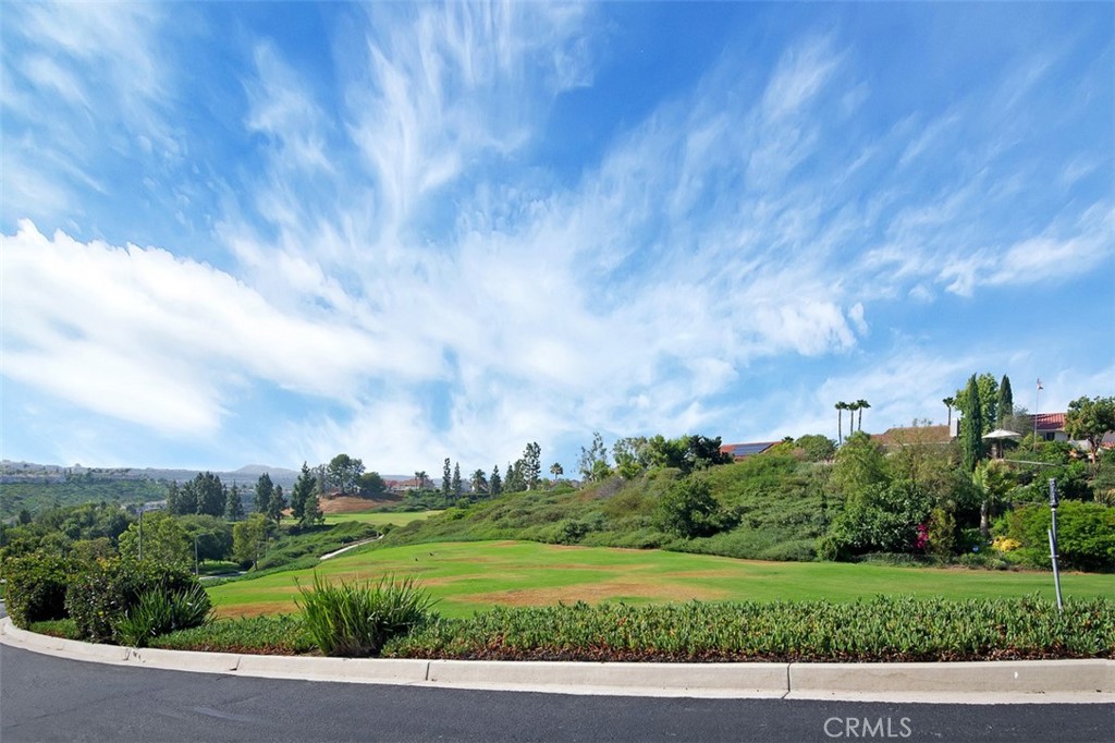 28502 Murrelet Drive