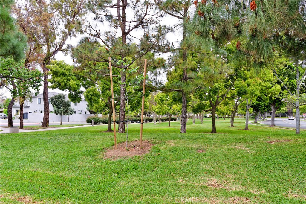 16 Queens Wreath Way