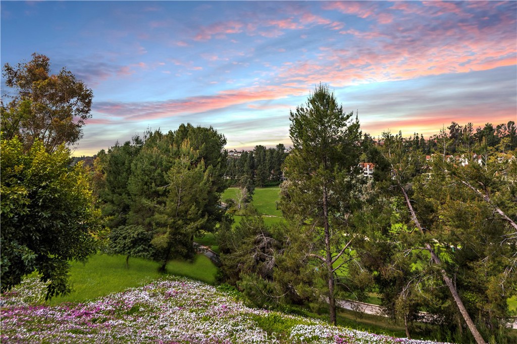 23247 Cherry Hills 46