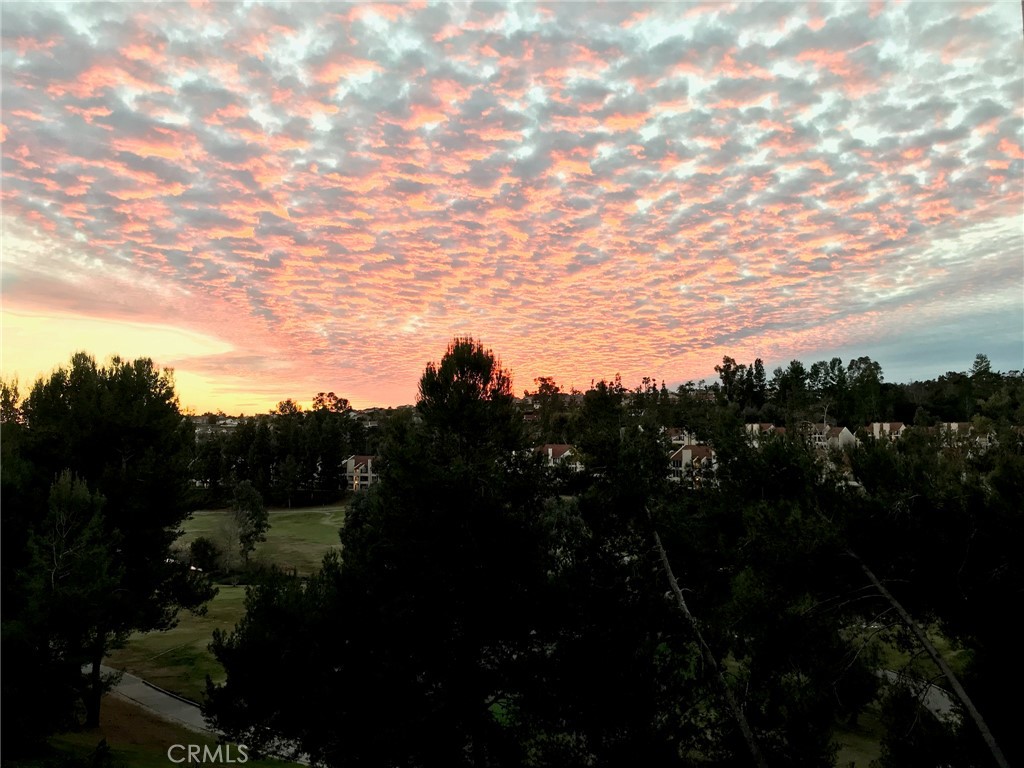 23247 Cherry Hills 46