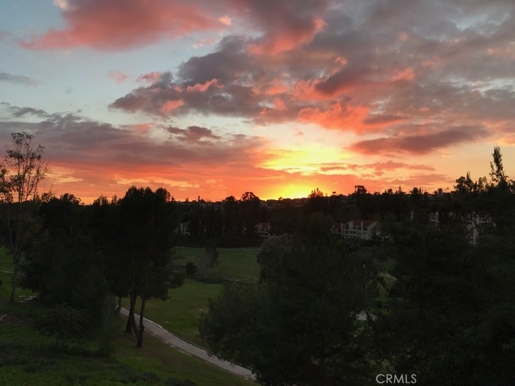 23247 Cherry Hills 46