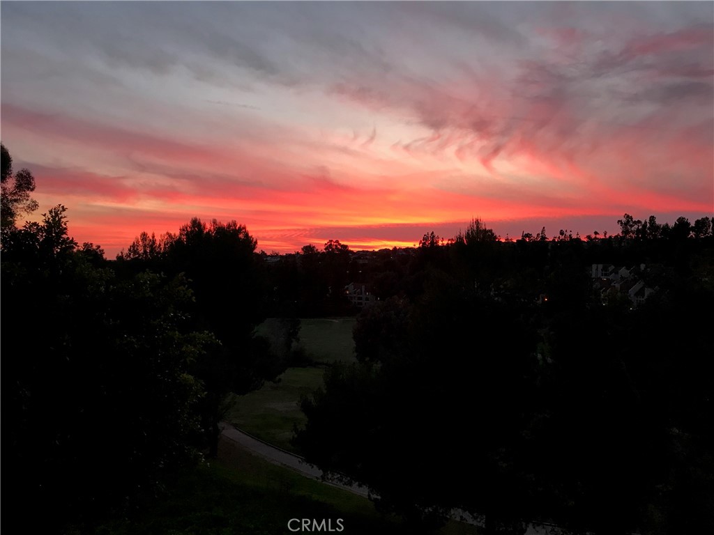 23247 Cherry Hills 46