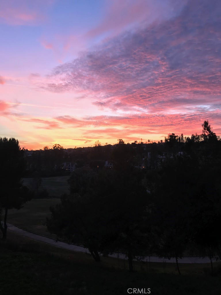 23247 Cherry Hills 46